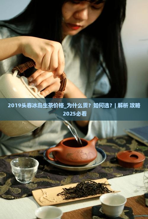2019头春冰岛生茶价格