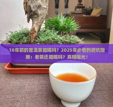 10年前的普洱茶能喝吗