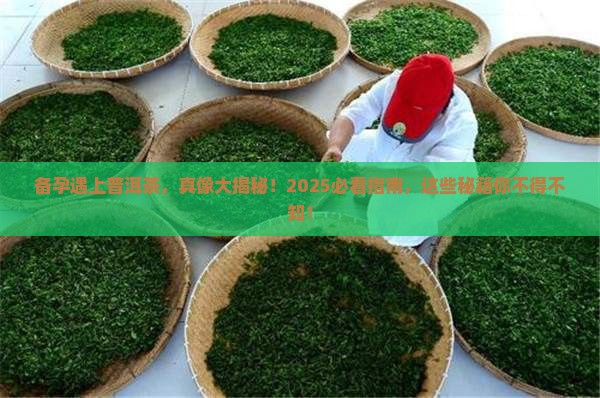 备孕与普洱茶能同吃吗有影响吗