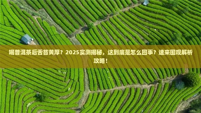 喝普洱茶舌苔变黄厚