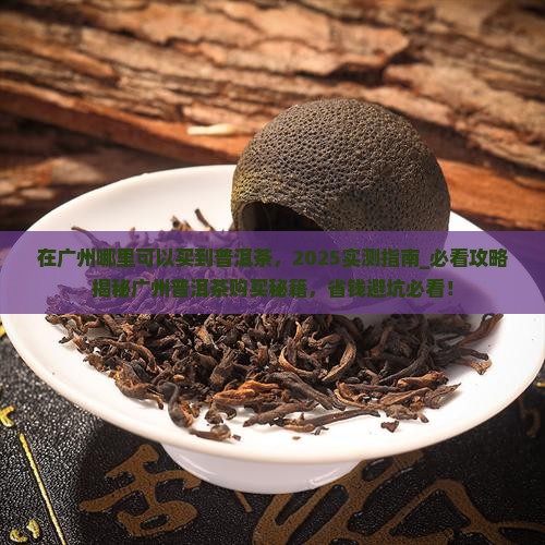 在广州哪里可以买到普洱茶
