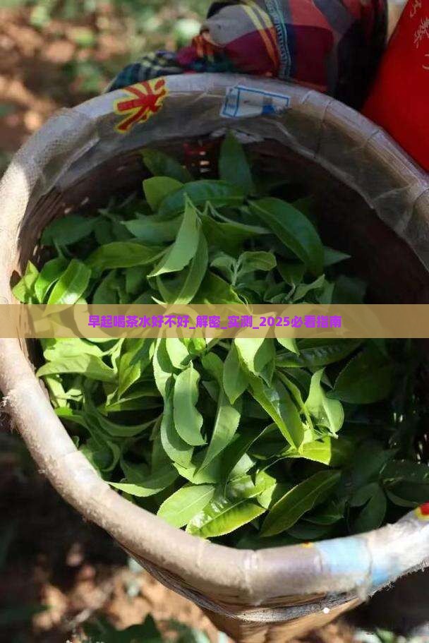 早起喝茶水好不好