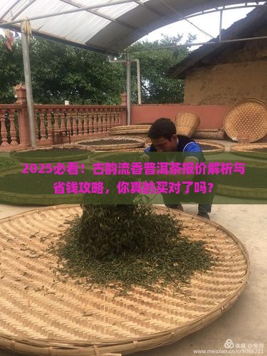 古韵流香普洱茶报价