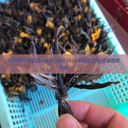 印象香宁府普洱小金砖 印象香宁府普洱小金砖