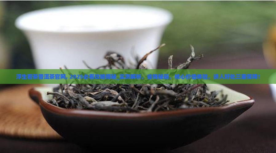 浮生若茶普洱茶官网