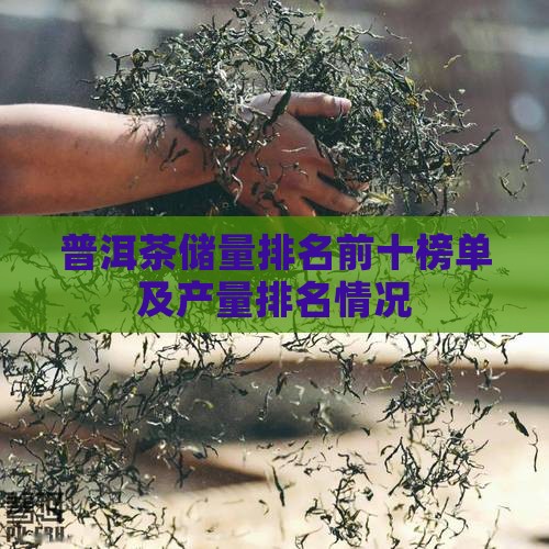 普洱茶储量排名