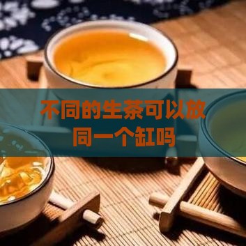 不同的生茶可以放同一个缸吗