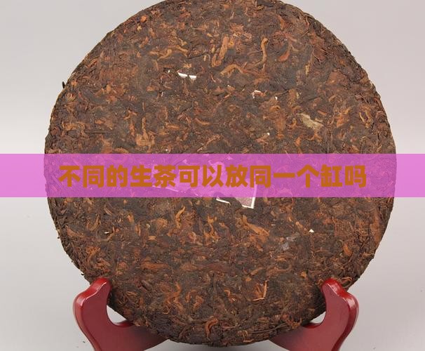 不同的生茶可以放同一个缸吗