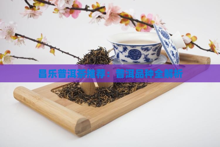 昌乐普洱茶有哪些品种的