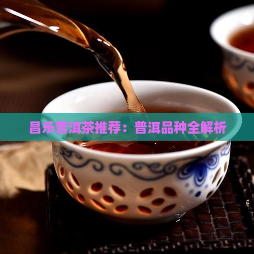昌乐普洱茶有哪些品种的