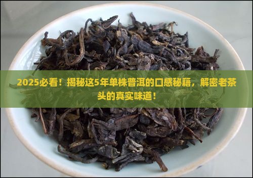 密封5年的单株普洱茶口感