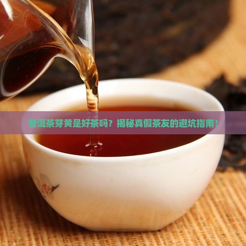 普洱茶芽黄是不是好茶一点