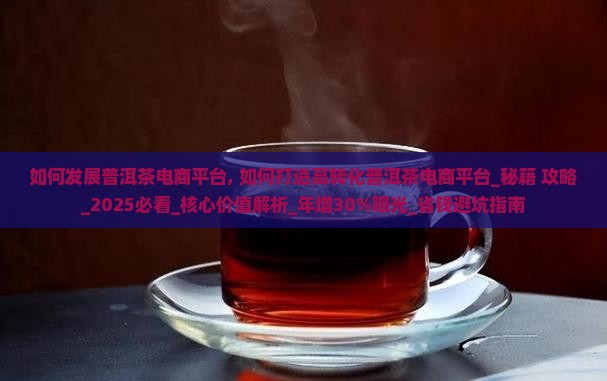 如何发展普洱茶电商平台