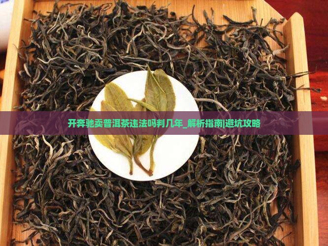开奔驰卖普洱茶违法吗判几年