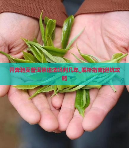 开奔驰卖普洱茶违法吗判几年