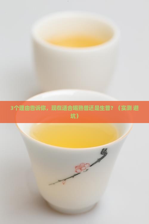 现在适合喝熟普还是生普