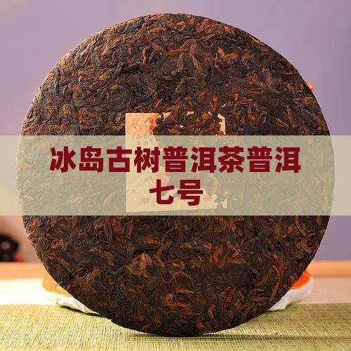 冰岛七号古树茶