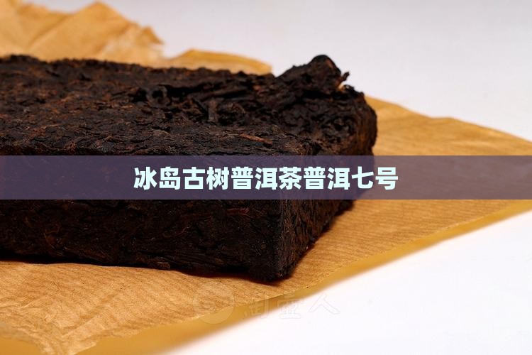 冰岛七号古树茶