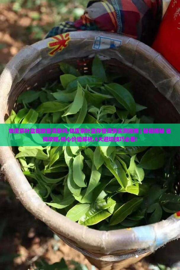 铁质茶叶盒能放普洱茶吗