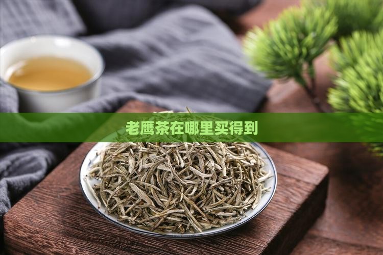 老鹰茶在哪里买得到