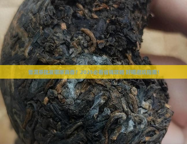 普洱茶批发哪家便宜好喝