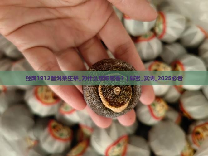 经典1912普洱茶生茶
