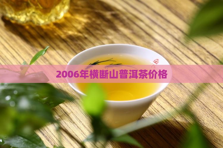 2006年横断山熟普洱茶