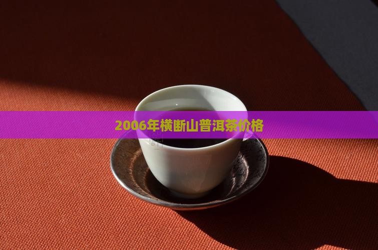 2006年横断山熟普洱茶