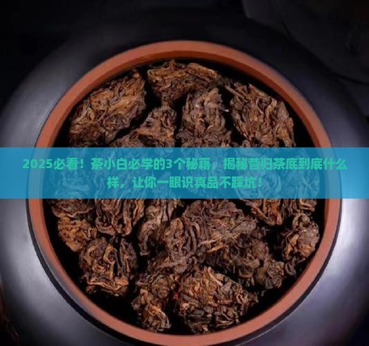 昔归茶的茶底什么样