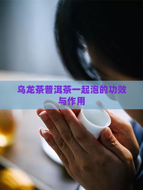 黑乌龙茶黑普洱茶一起泡