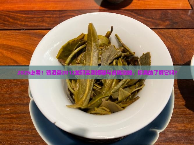 普洱茶2012龙印