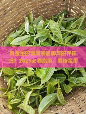 有金星的普洱茶品牌