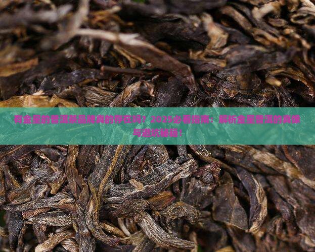 有金星的普洱茶品牌