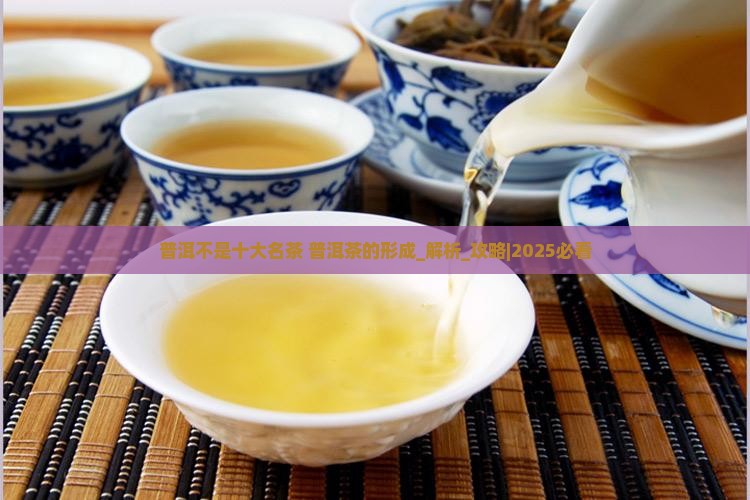普洱不是十大名茶普洱茶的形成