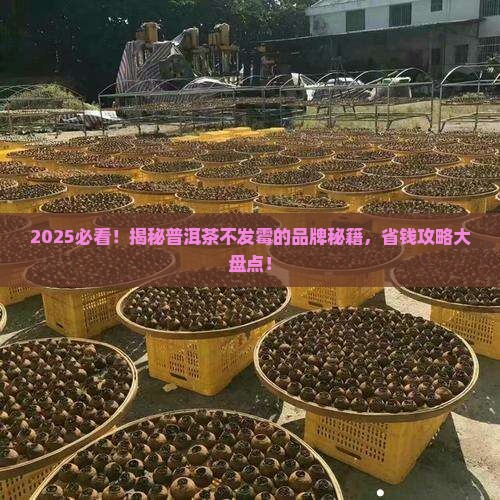普洱茶不发霉的品牌是