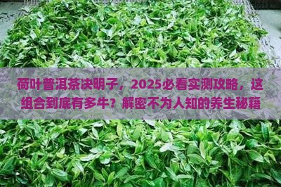 荷叶普洱茶决明子