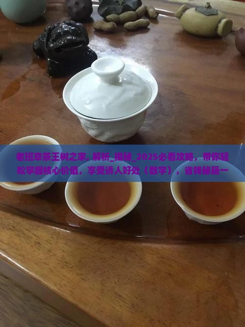 老班章茶王树之家
