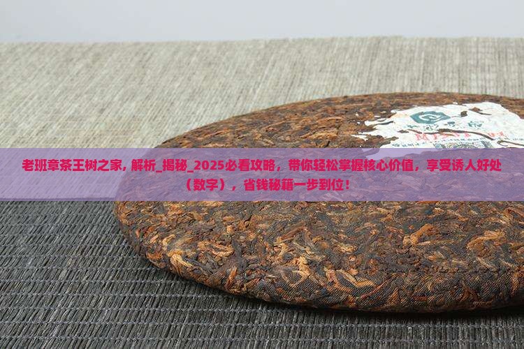 老班章茶王树之家