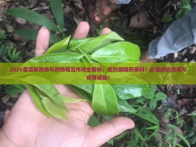 普洱茶熟茶会影响吃药吗