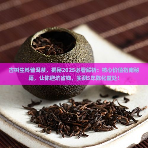 古树生料普洱茶