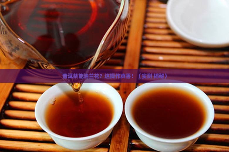 普洱茶能浇兰花吗