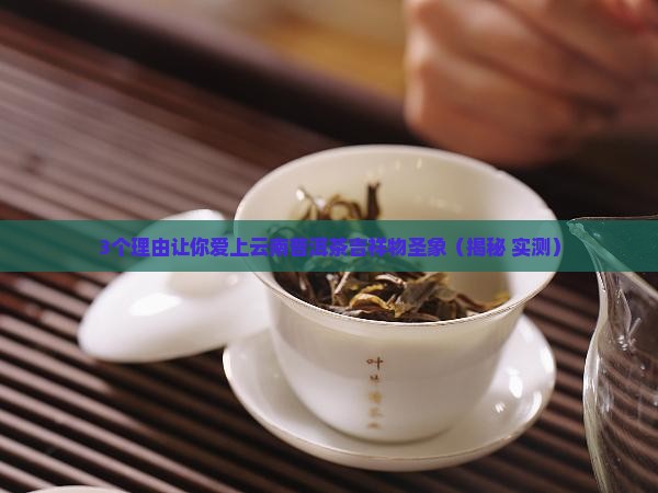 云南普洱茶吉祥物圣象