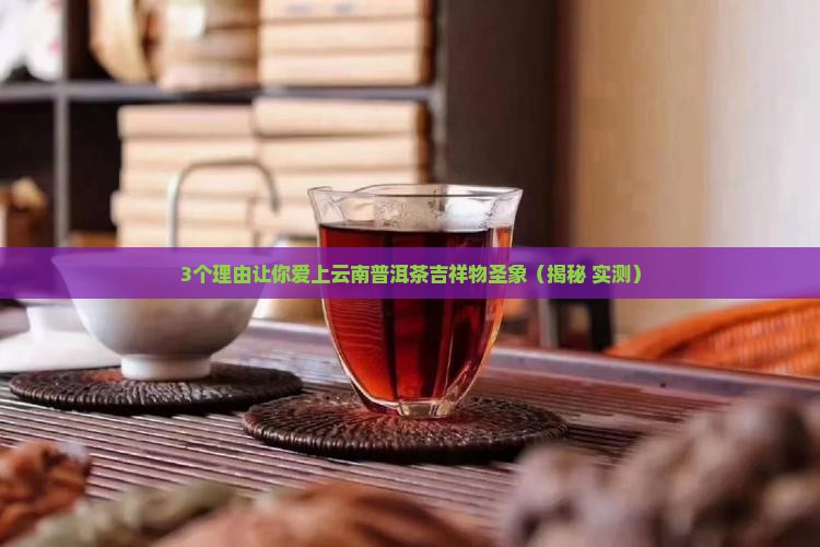 云南普洱茶吉祥物圣象