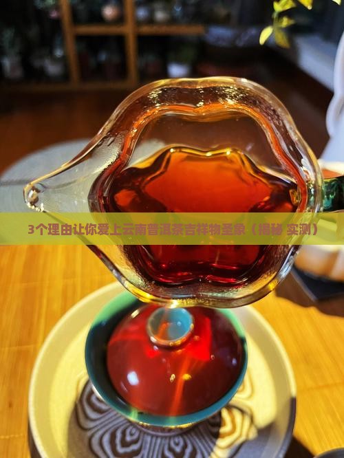 云南普洱茶吉祥物圣象
