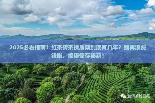 红茶砖茶有保质期吗