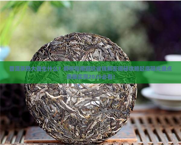 普洱茶熟大益生什么