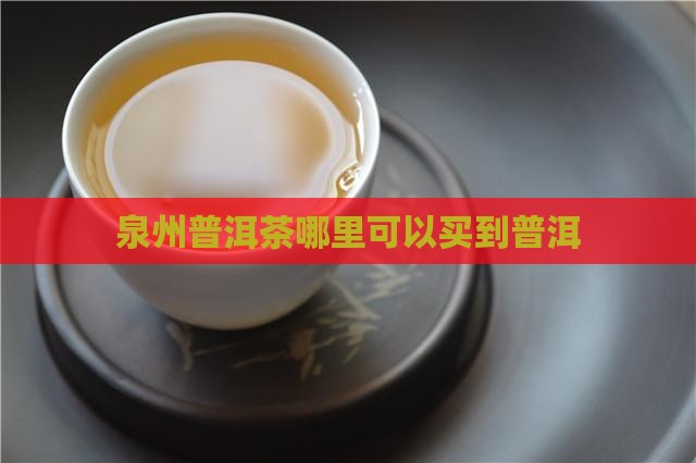 泉州哪里可以买到普洱茶