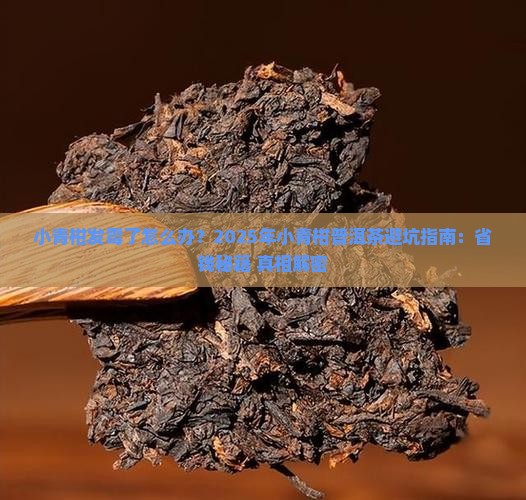 小青柑普洱茶小青柑发霉了 小青柑普洱茶小青柑发霉了