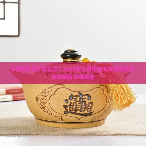 小青柑普洱茶小青柑发霉了 小青柑普洱茶小青柑发霉了