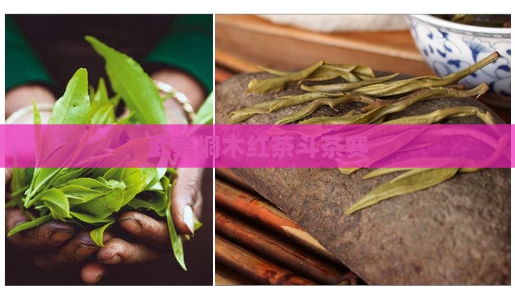 桐木村红茶斗茶赛
